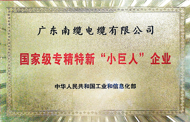 国家级专精特新·小巨人